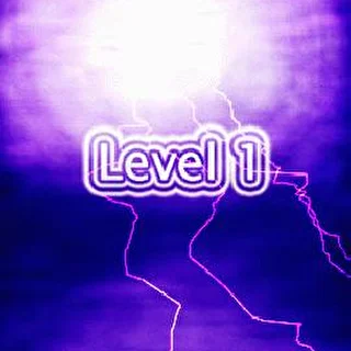 Level 1