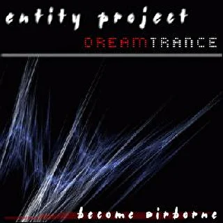 Entity Project