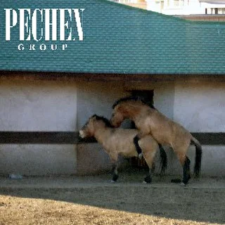 Pechen-group