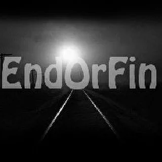 EndOrFin - Зеленоград