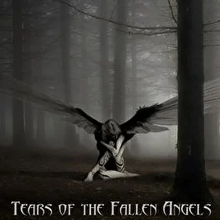 Tears of the Fallen Angels