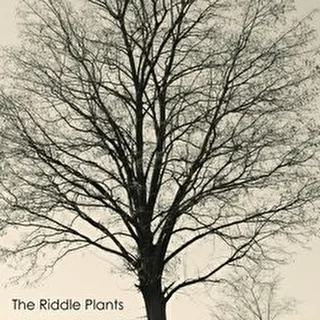 The Riddle Plants