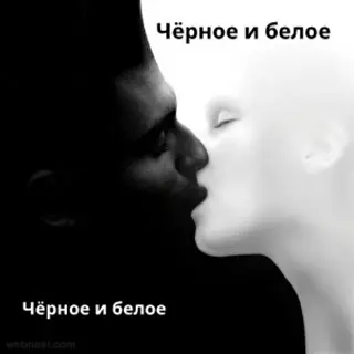 Чёрное и белое 