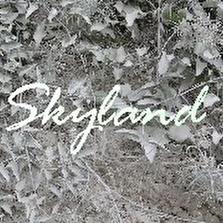 Skyland