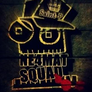 NE4MAT_SQUAD