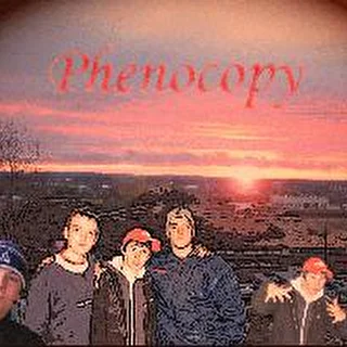 Phenocopy