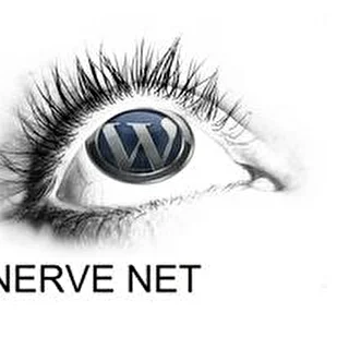Nerve.NET