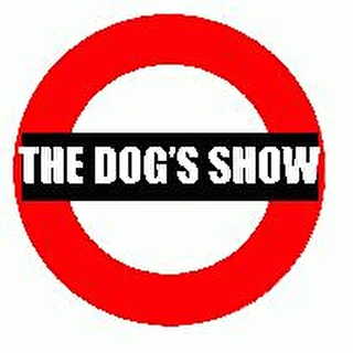 the dogs show