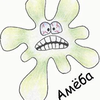 Ameba