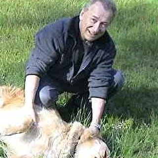 Алекс Тимо - Стихи