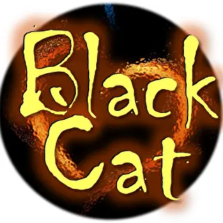 Black Cat Studio