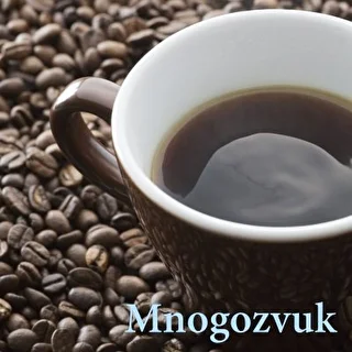 Mnogozvuk