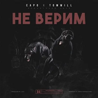 Capo x TomWill