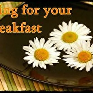 Spring For Your Breakfast
