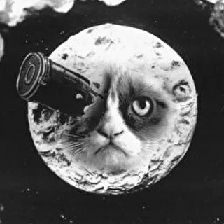 Лунный Кот