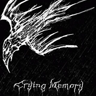 Crying Memory