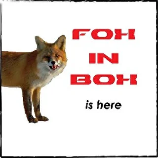 Fox In Box