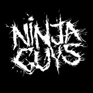 Ninja Guys