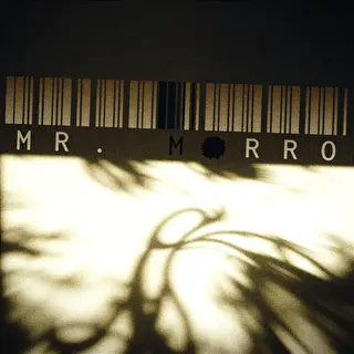 Mr. Morro