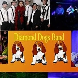 группа_Diamond Dogs