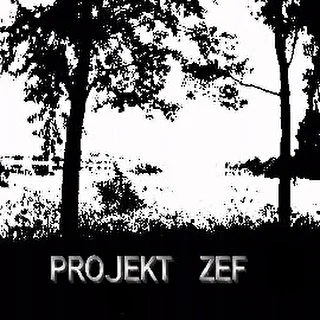 Projekt ZEF