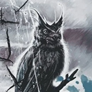 Mr.Owl