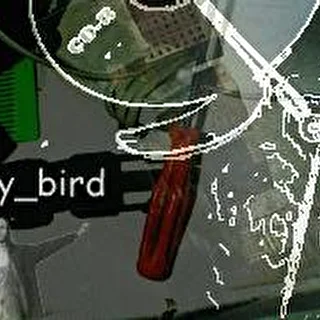 crazyBird@КОМПания