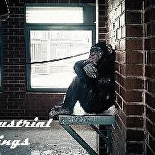 INDUSTRIAL STRINGS