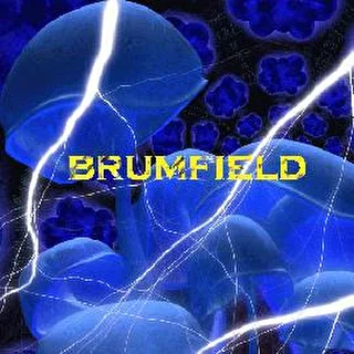 brumfield