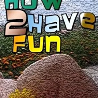 How 2 Have Fun
