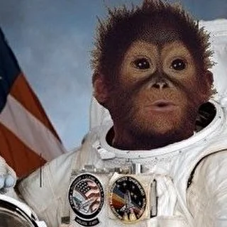 Monkey Astronaut