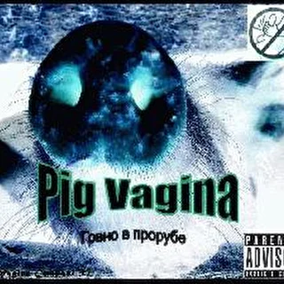 Pig Vagina
