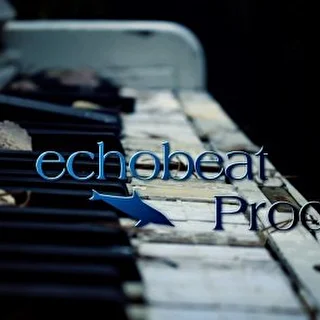 echobeat Prod.