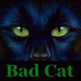 Bad Cat