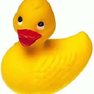 DUCKY