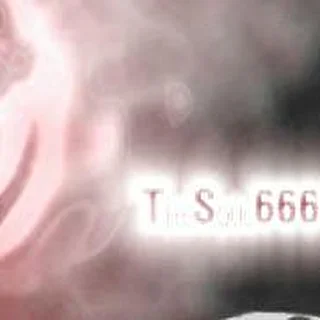 TS666