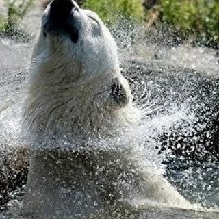 Pool&Bear