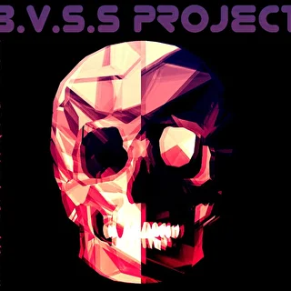 B.V.S.S. Project 