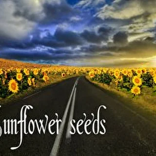 Sunflower seeds