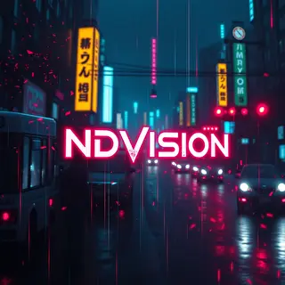NDVISION