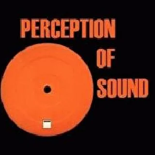 Perception of sound project