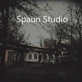 Spaun_Studio