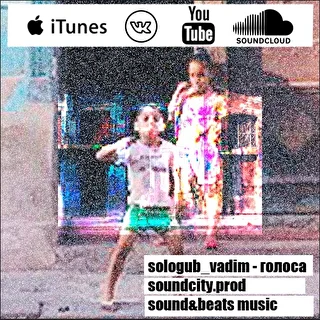 sologub_vadim