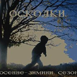 ОСКОЛКИ