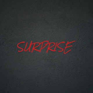 группа SURPRISE