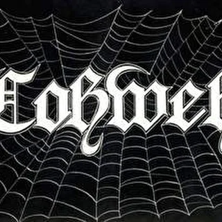 Cobweb