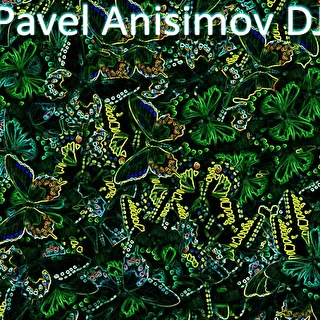 Dj Pavel Anisimov 