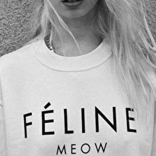 Feline Meow.