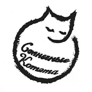 Солнечные Котята