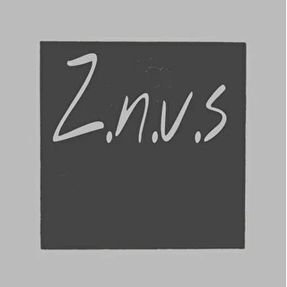 Z.n.v.s